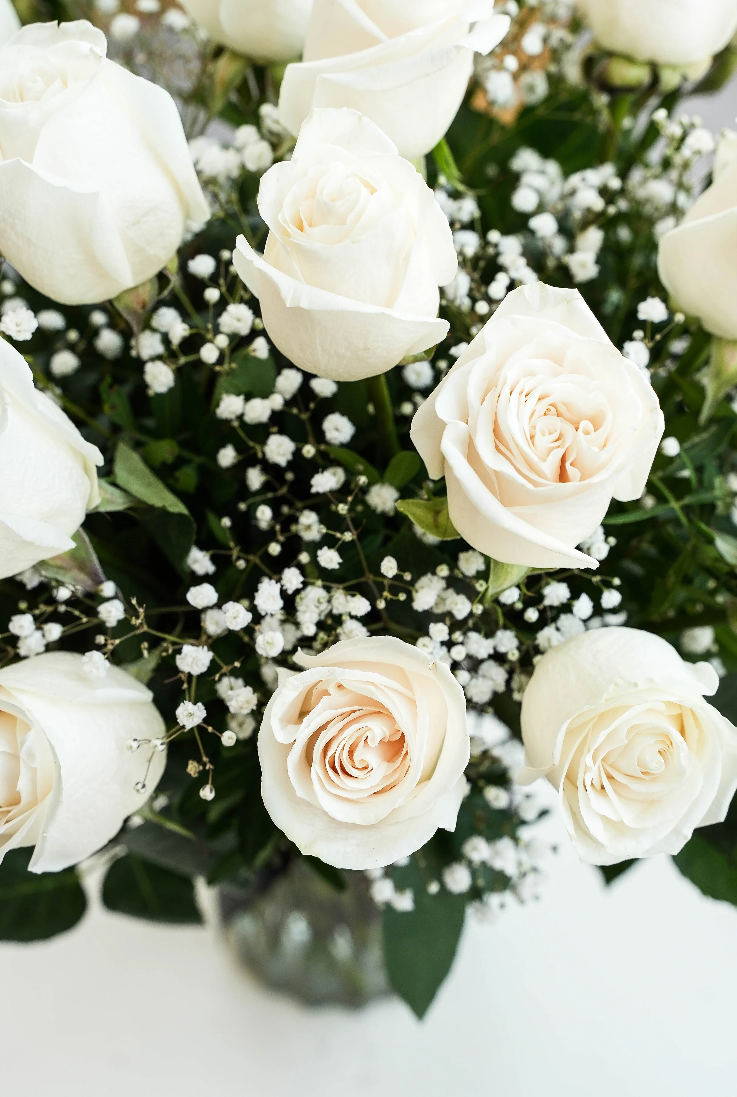 24 Long Stem White Roses - Vase - Image 3
