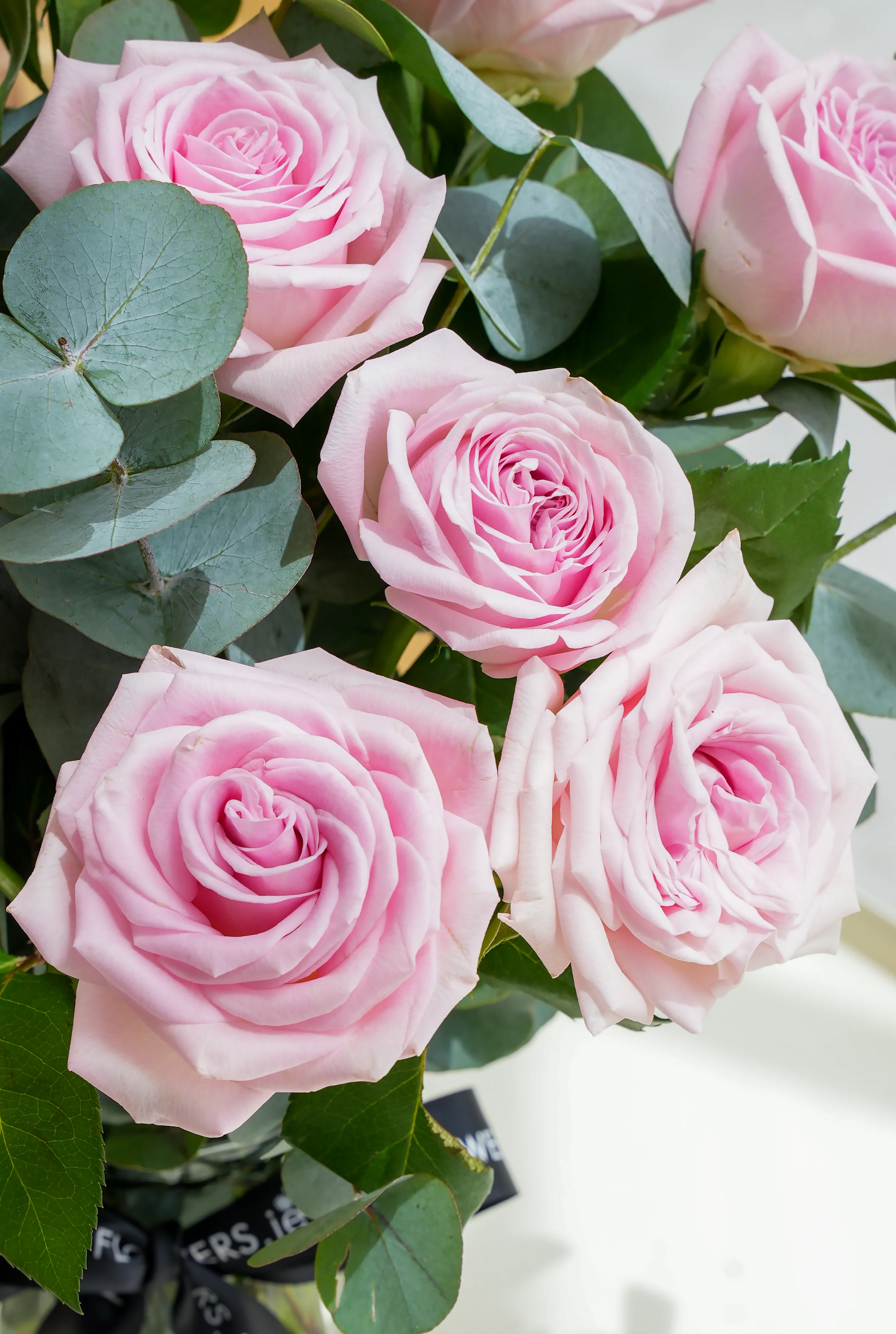 36 Long Stem Pink Roses - Vase - Image 3