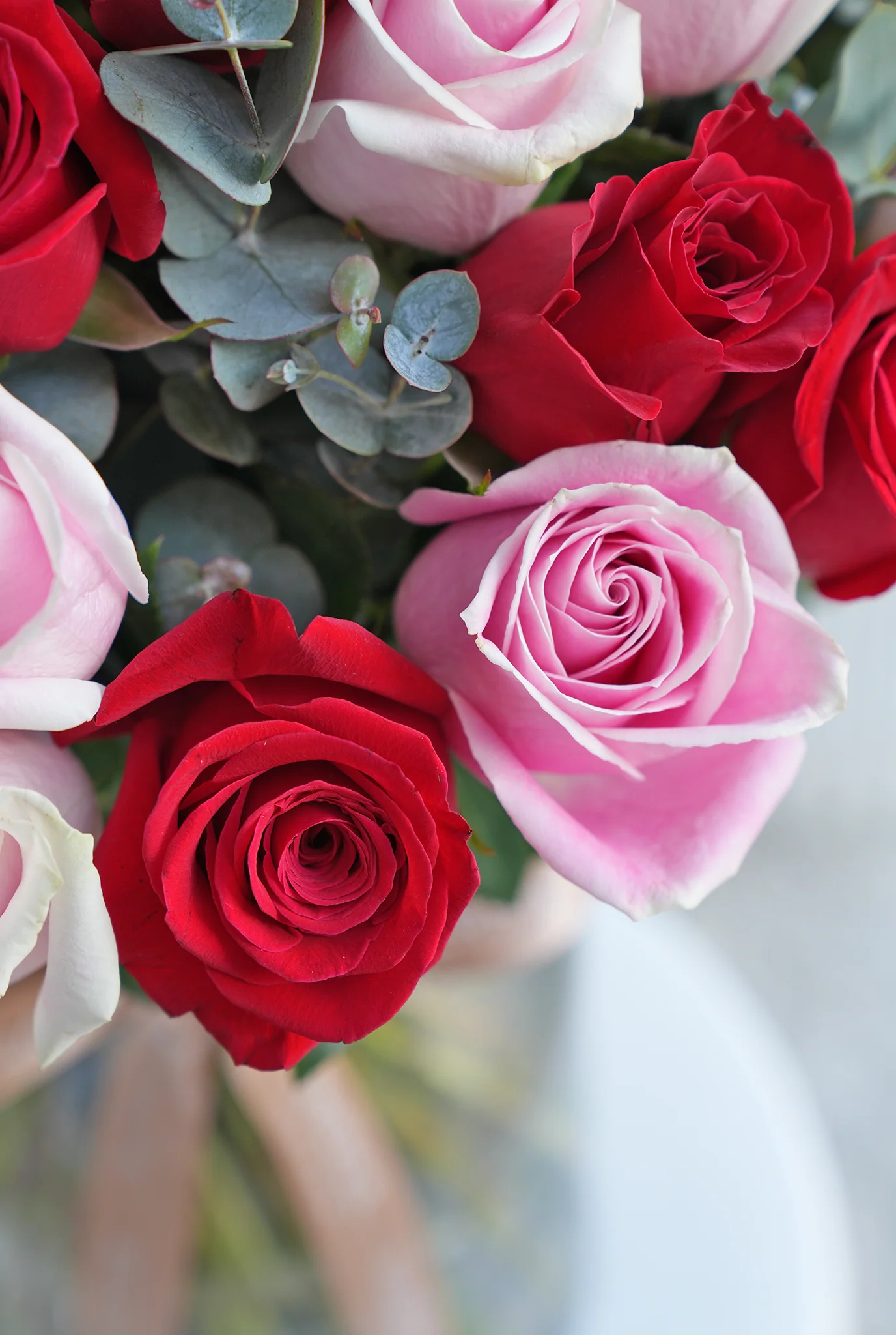 50 Luxury Red and Pink Roses - Vase - Image 2