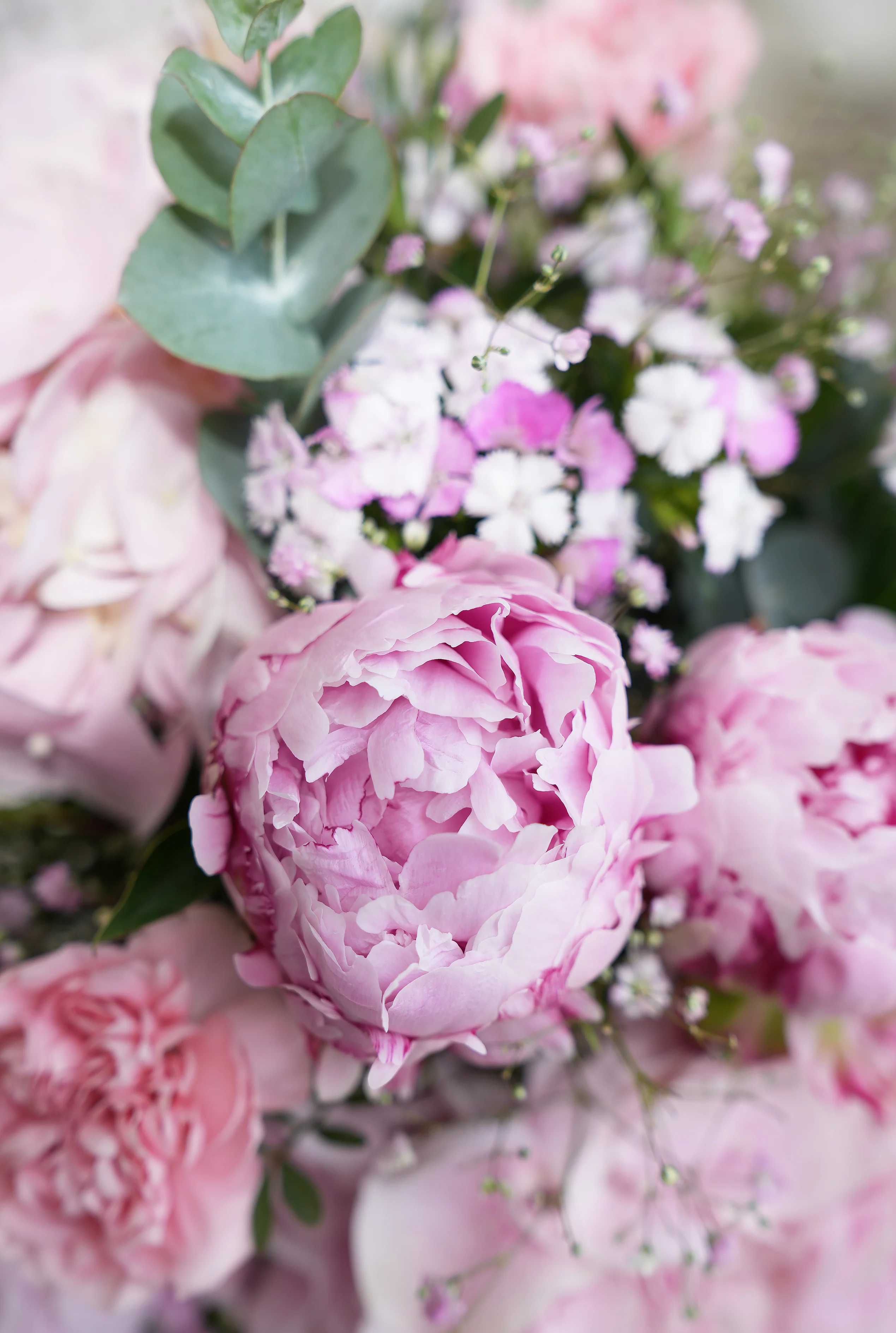 Anniversary Peony Pretty Pink - Vase - Image 2