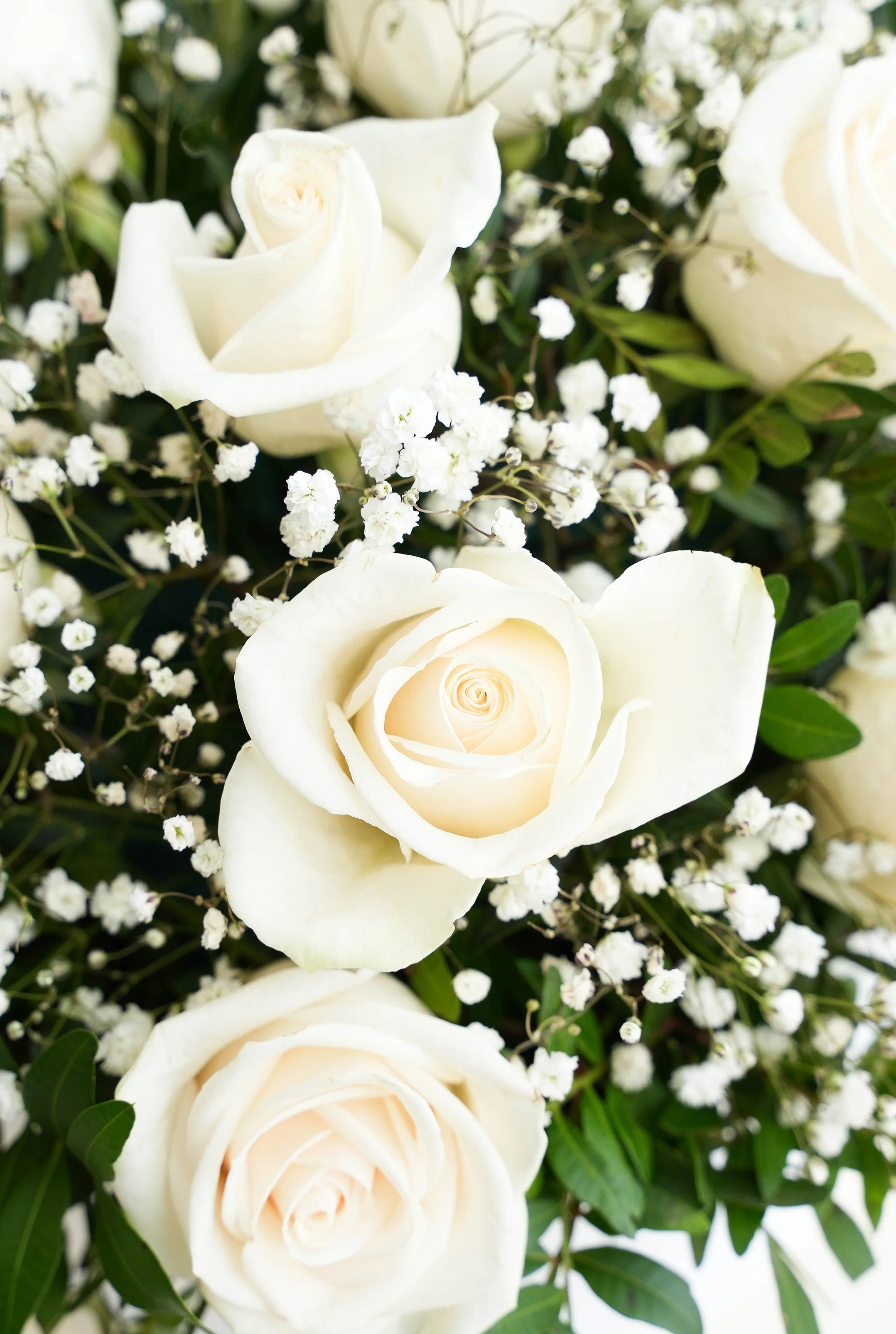 Ivory Bliss - Hatbox - Image 2