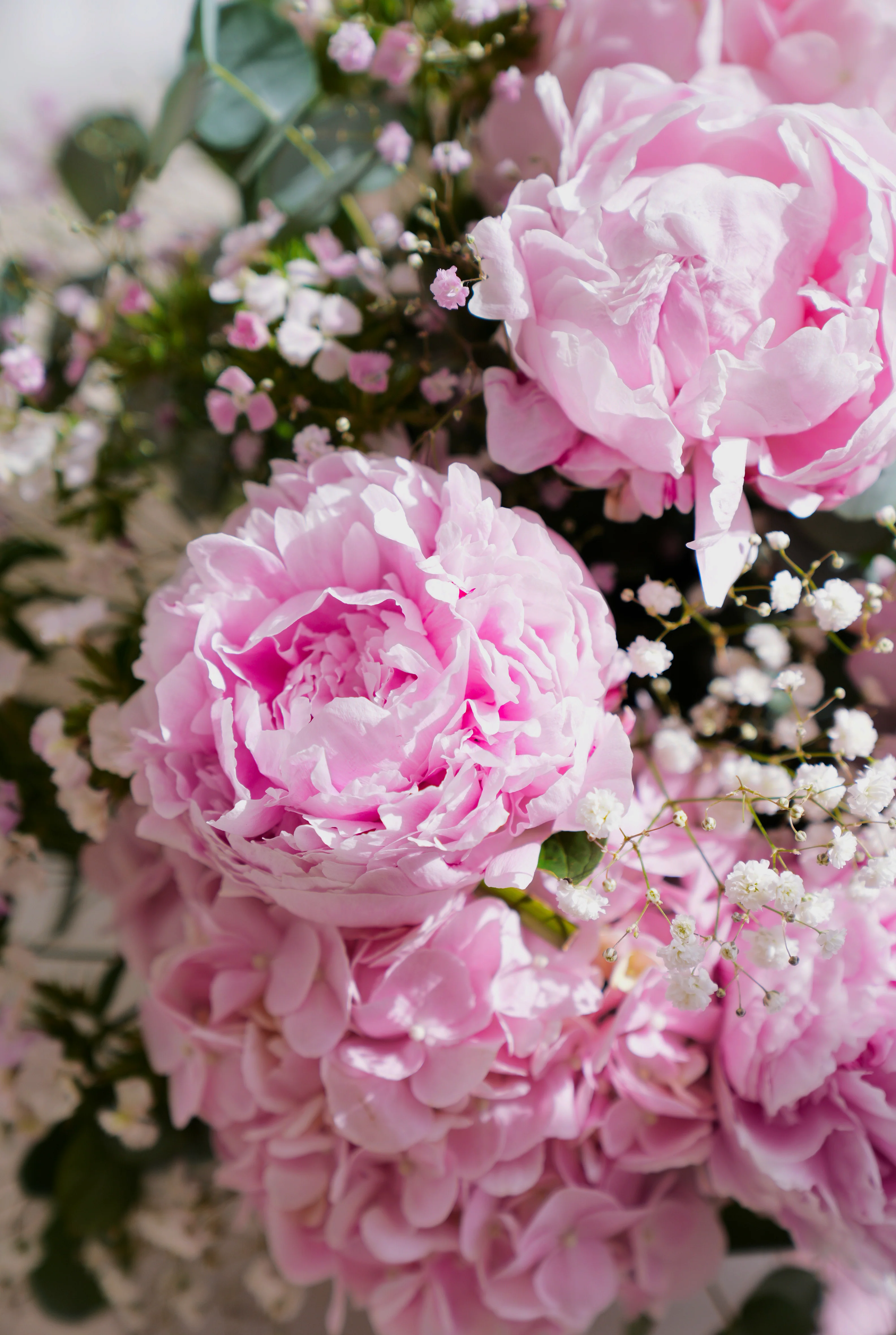 Luxury Pink Peony - Arrangement - Image 2