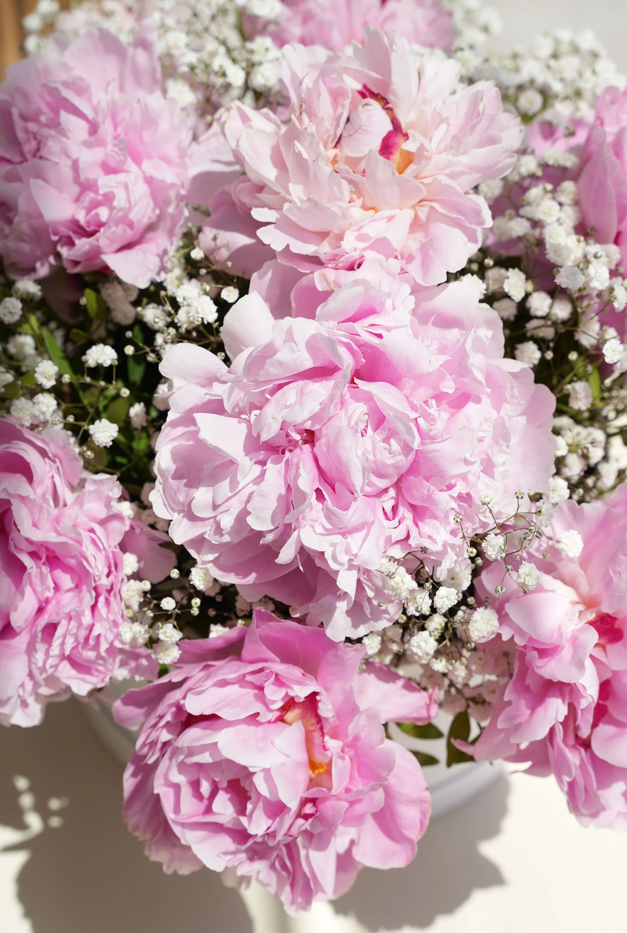 Luxury Pink Peony - Hatbox - Image 2