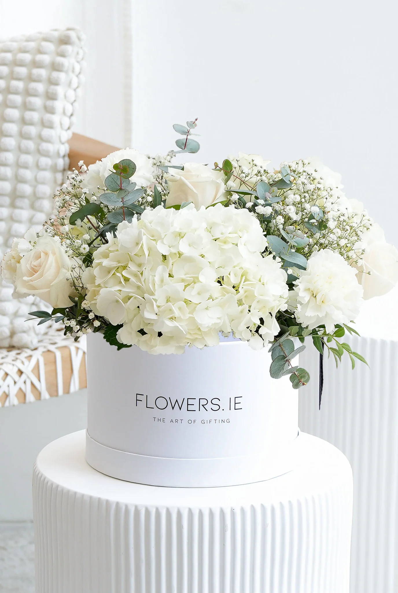 New Baby Perfect White - Hatbox - Image 4
