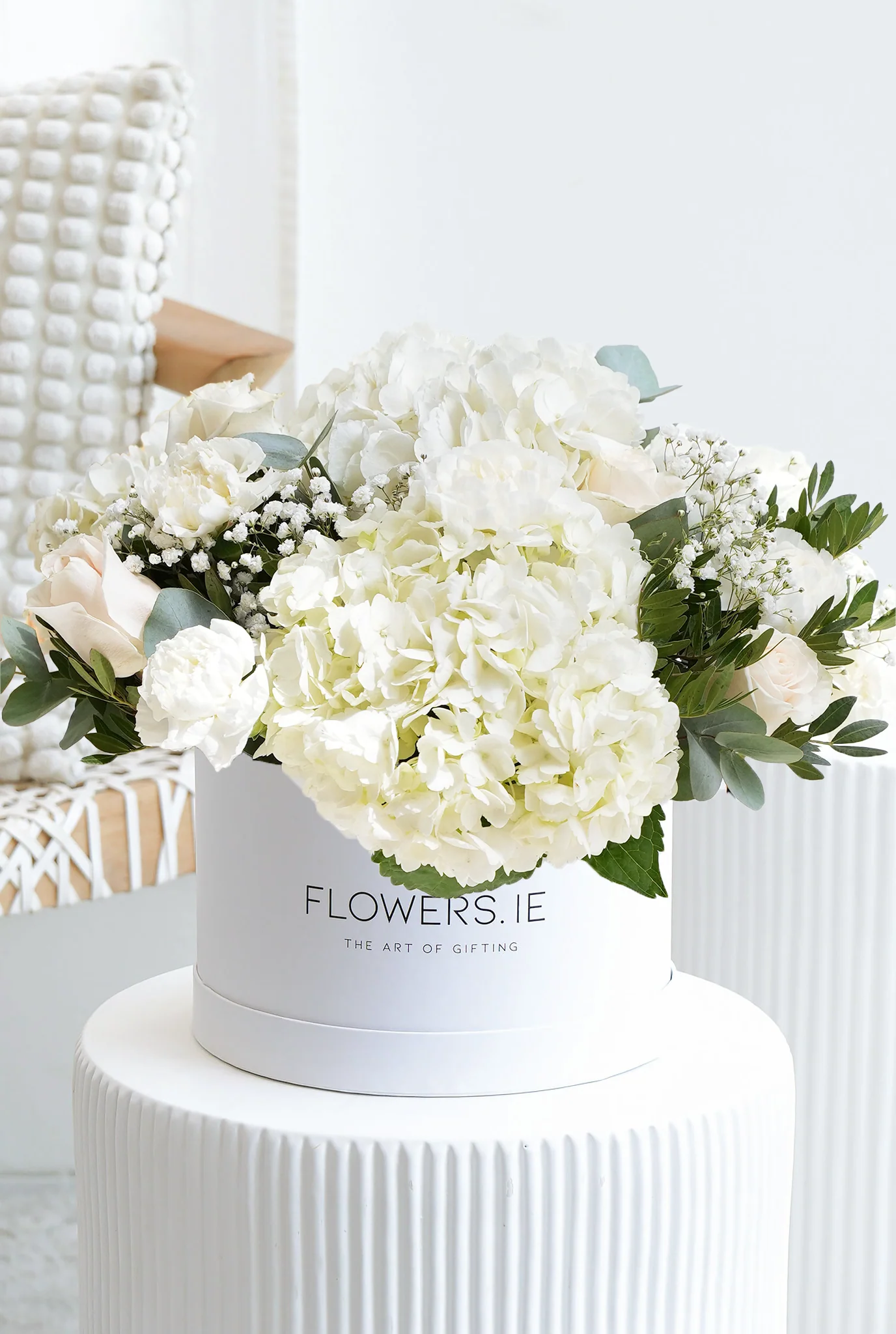 New Baby Perfect White - Hatbox - Image 5