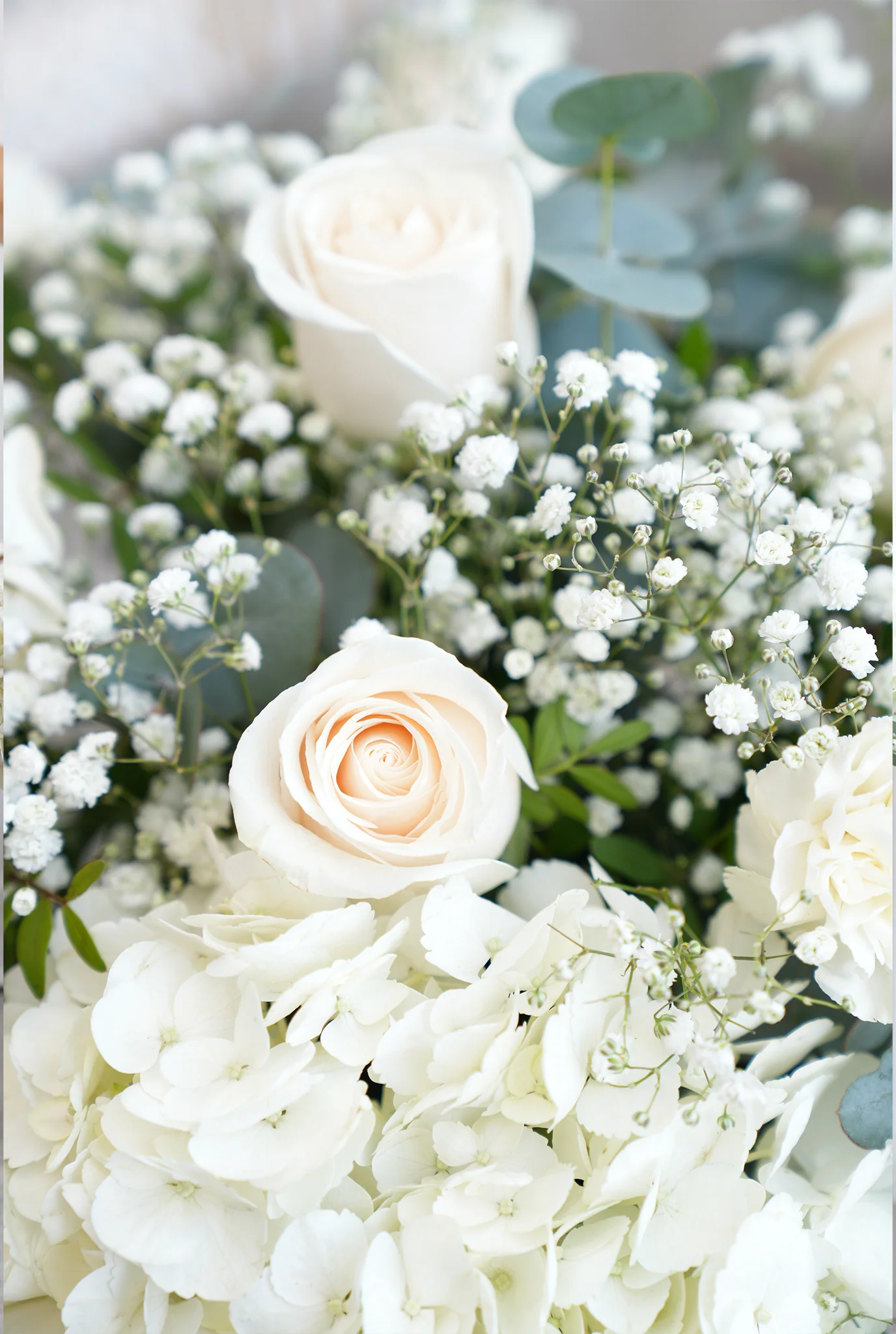 Perfect White - Arrangement - Image 2
