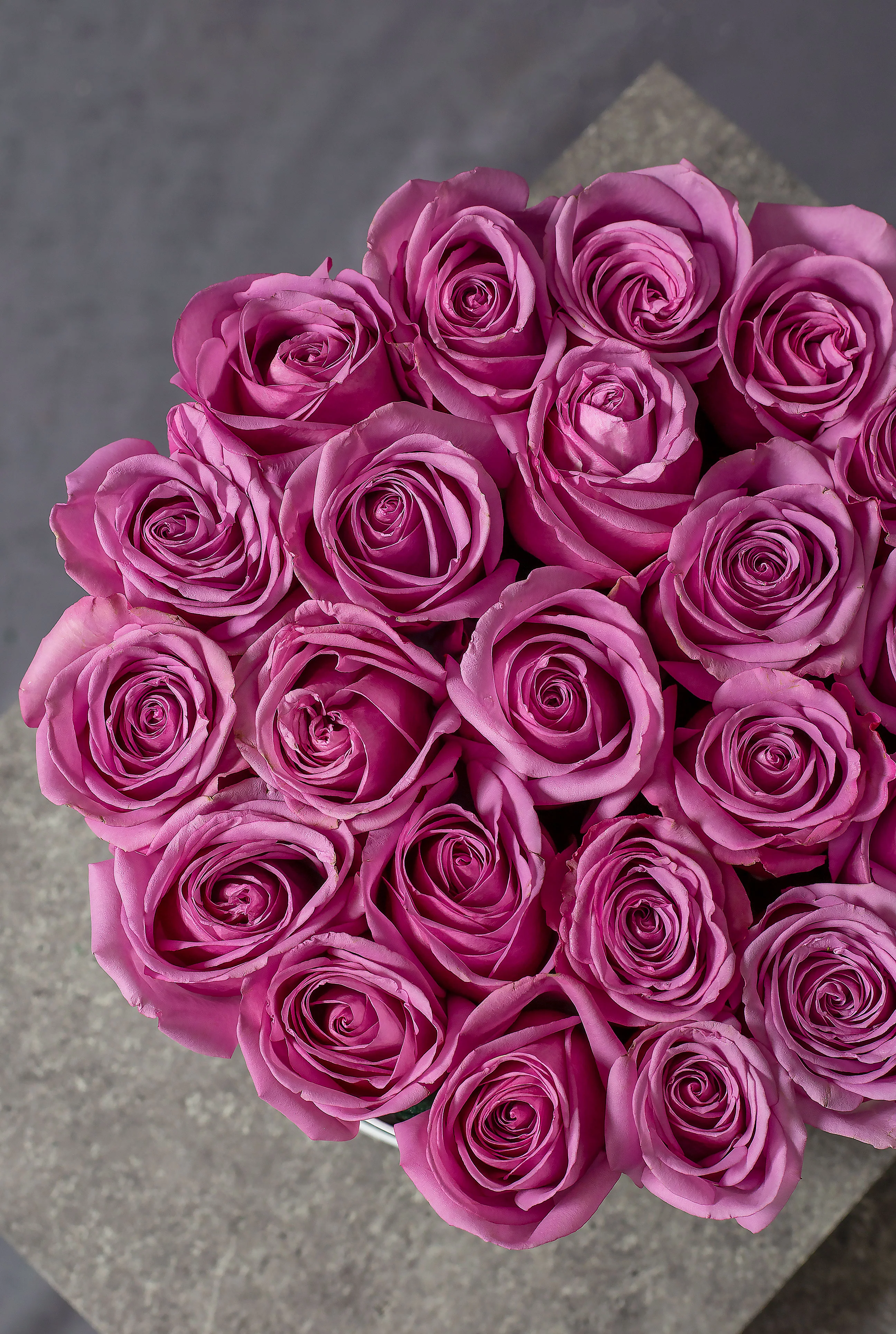 Purple Rose - Hatbox - Image 2