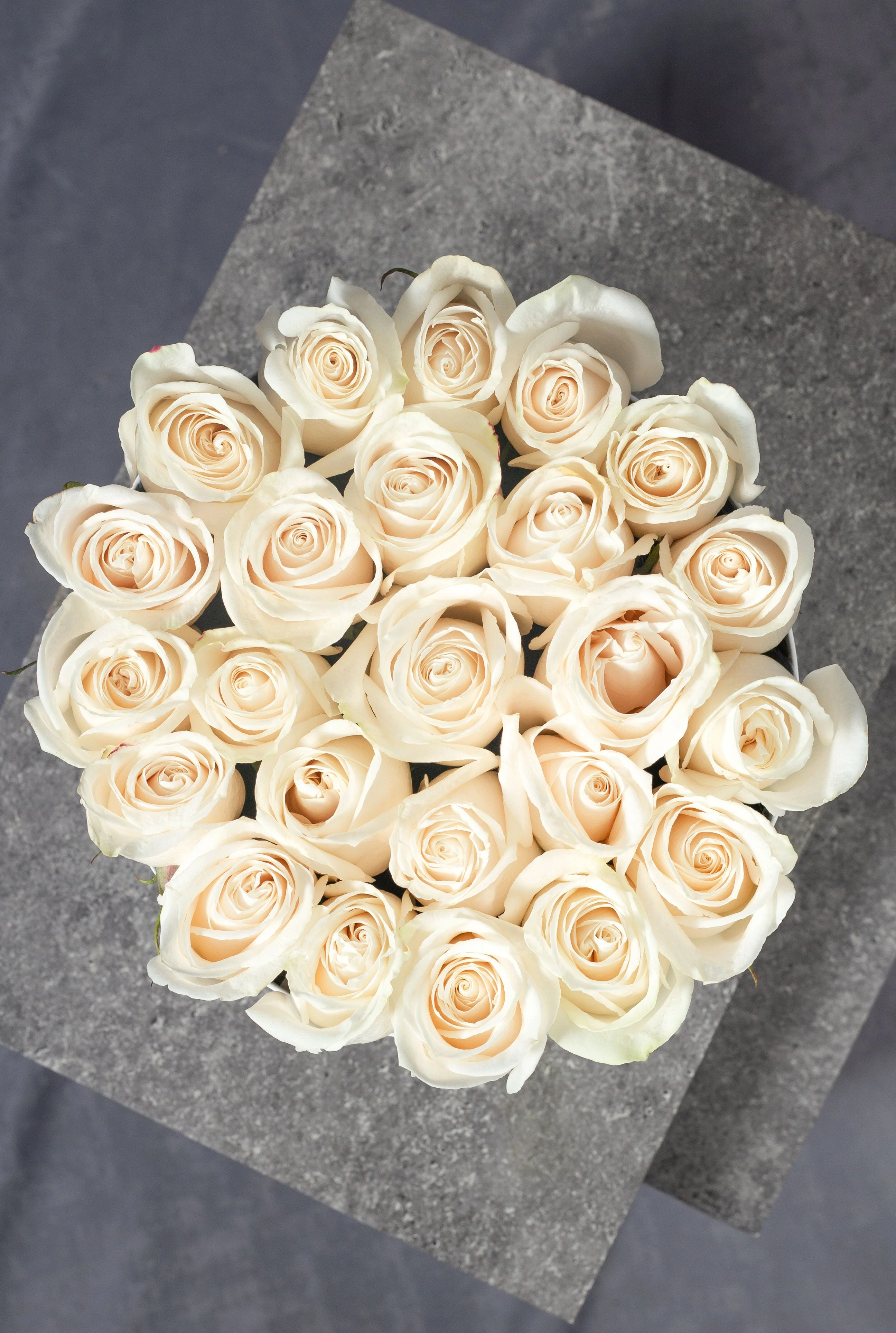 Sympathy White Rose Hatbox - Image 3