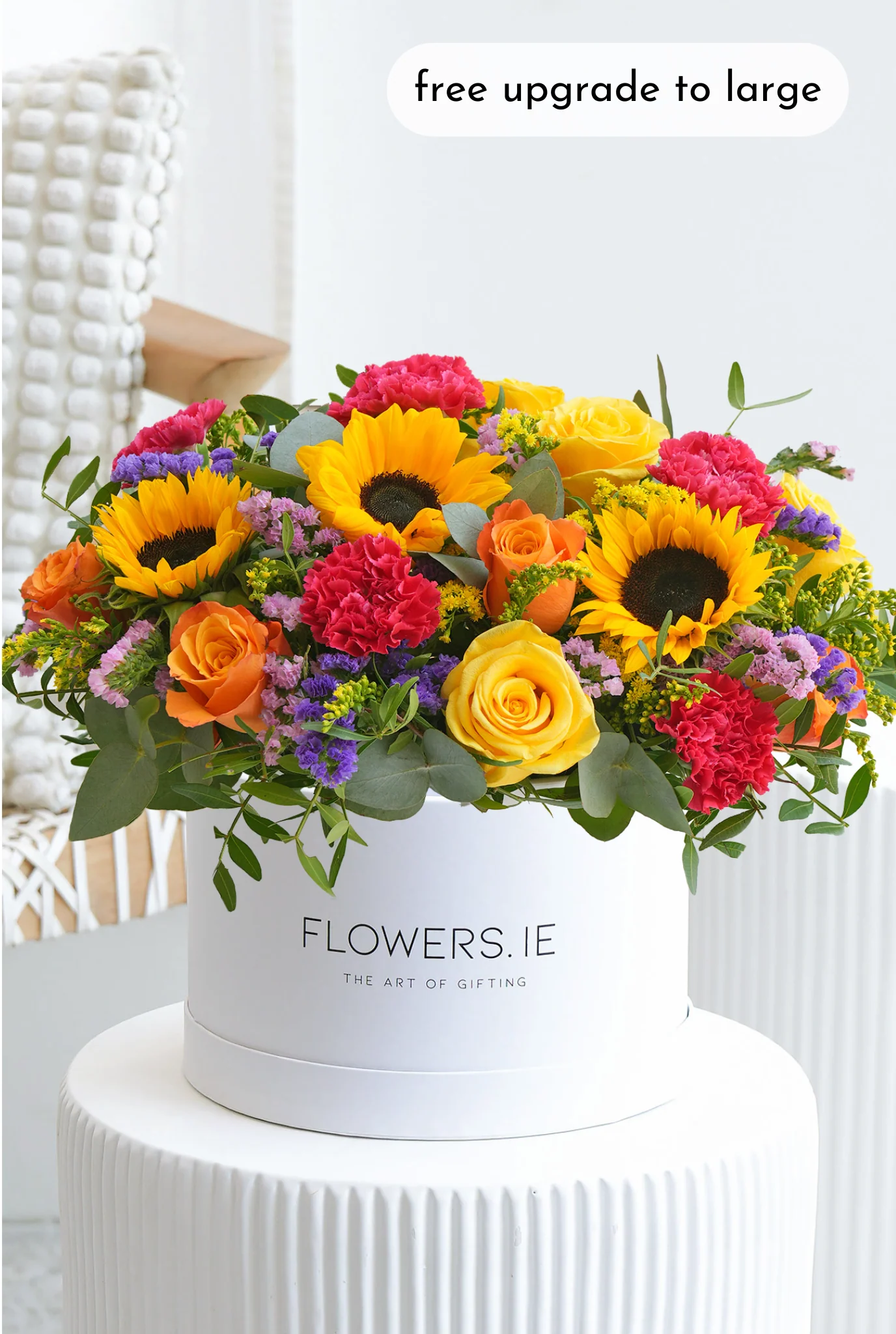 Vibrant - Hatbox - Image 3