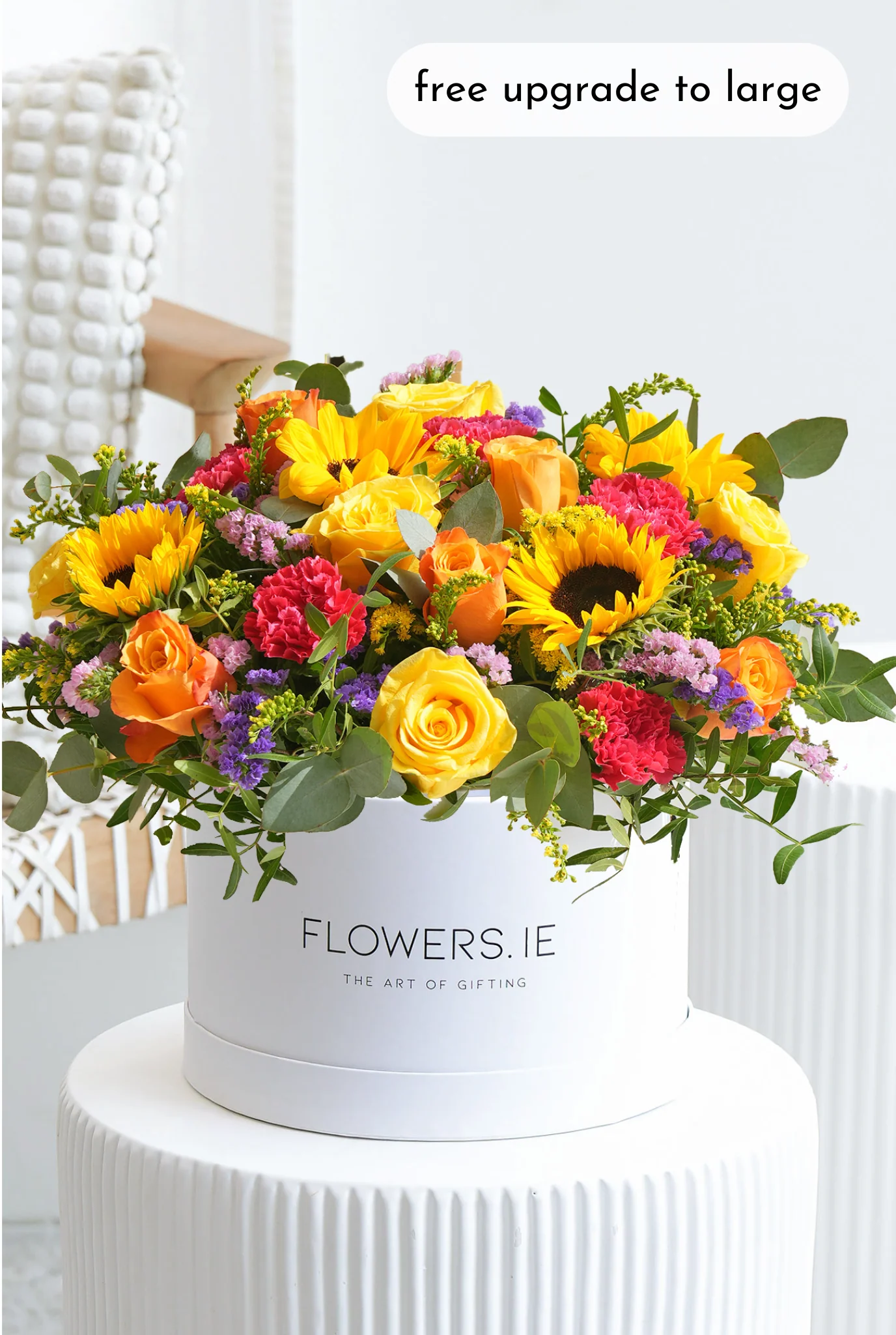 Vibrant - Hatbox - Image 6